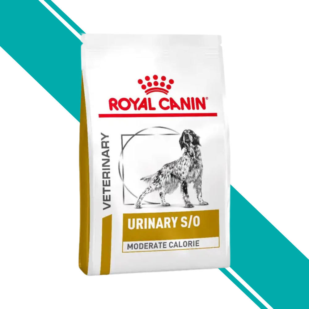 Royal Canin Veterinary Urinary S/O Moderate Calorie Dry Dog Food
